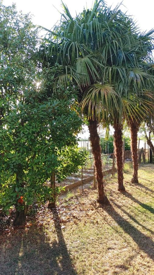 B&B Al Vecio Morer San Donà di Piave Dış mekan fotoğraf